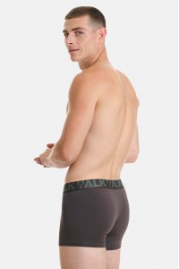 Ανδρικά Boxers WALK 2 PACK W1755-1 ΚΑΦΕ ΠΡΑΣΙΝΟ ΣΚΟΥΡΟ