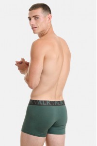 Ανδρικά Boxers WALK 2 PACK W1755-1 ΚΑΦΕ ΠΡΑΣΙΝΟ ΣΚΟΥΡΟ