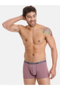 Ανδρικά εσώρουχα WALK Boxers 2 PACK W1756_1061