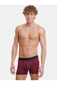 Εσώρουχα BAMBOO WALK Boxers 2 PACK  W1776_2704 ΜΠΟΡΝΤΌ ΑΝΘΡΑΚΙ