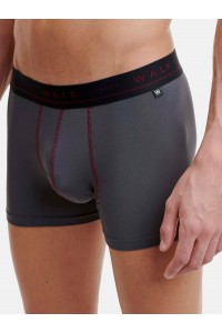 Εσώρουχα BAMBOO WALK Boxers 2 PACK  W1776_2704 ΜΠΟΡΝΤΌ ΑΝΘΡΑΚΙ