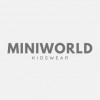 MiniWorld